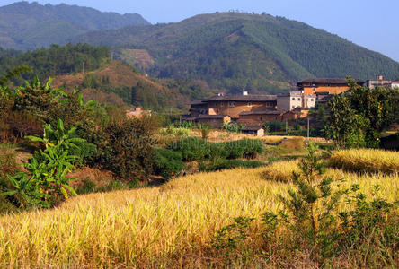 中国东部风景如画的乡村风光