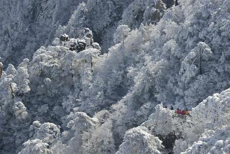 黄山雪