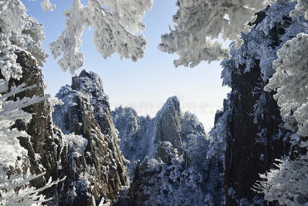 黄山雪