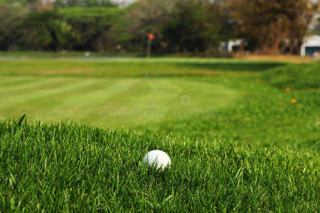 球道上粗糙的草地上的高尔夫球