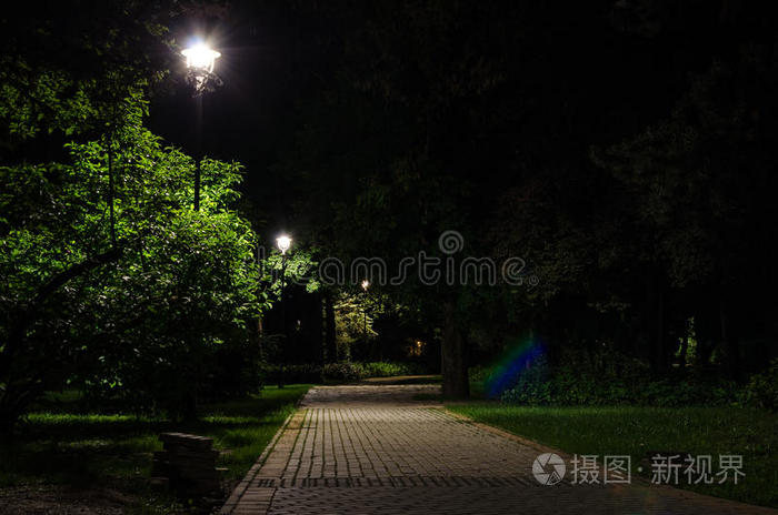 夜间城市公园