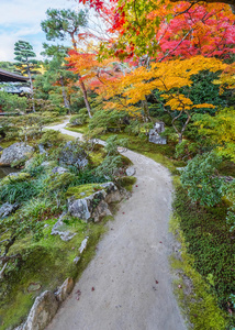 京都金阁寺千森开玉寺花园