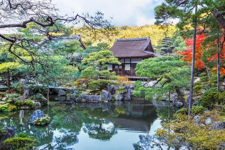 京都金阁寺千森开玉寺花园