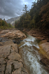 泰加河秋景。