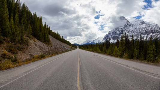 秋天季节加拿大落基山脉一条风景优美的道路的全景。 在加拿大阿尔伯塔省的冰田。