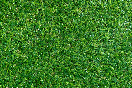 草坪风景图片-草坪风景素材-草坪风景插画-摄图新视界