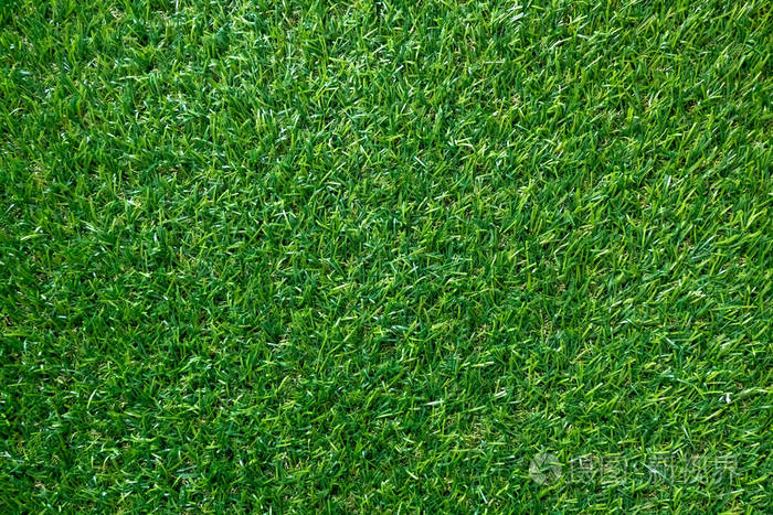 绿色草地纹理为背景. 绿色草坪图案和纹理背景. 上面的风景.照片-正版