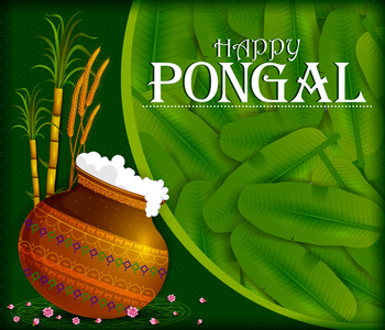 印度丰收节 Pongal 的宗教节日背景