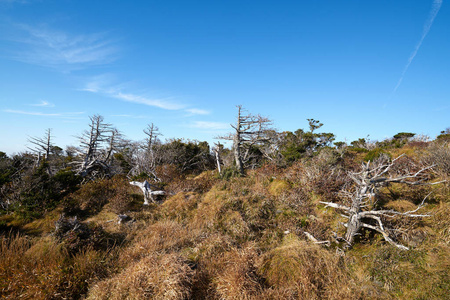 通往韩国济州岛的哈拉桑山。