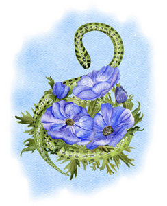 蓝色的海葵和蛇