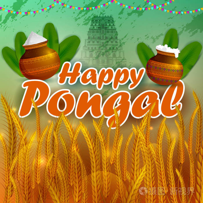 印度丰收节 Pongal 的宗教节日背景