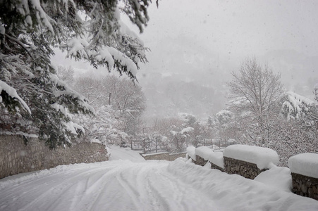 冬天的风景和冬天公园旁的雪树