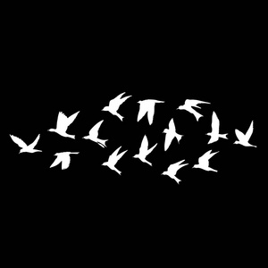 黑色背景上飞鸟的剪影.灵感身体闪光纹身墨水.矢量.照片