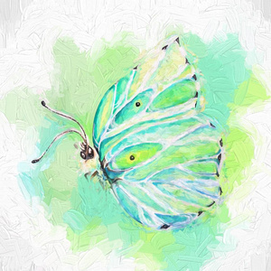 彩色蝴蝶艺术插图