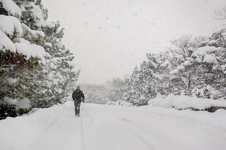 一个剪影孤独的人在冬天的暴风雪下沿着一条森林的道路行走照片