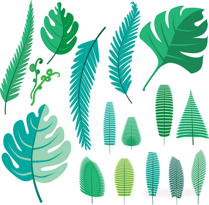蕨类植物和棕榈叶为您的设计.对所有对象进行分组.
