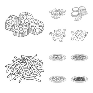 面食和碳水化合物标识的孤立对象。一套面食和通心粉矢量图标的股票