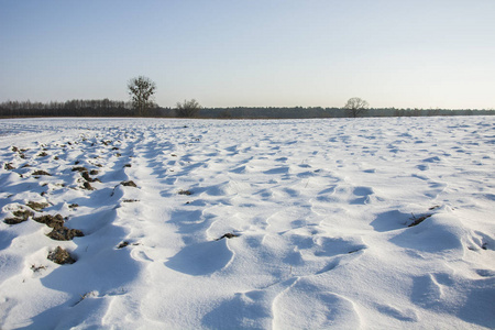 满是雪的田野