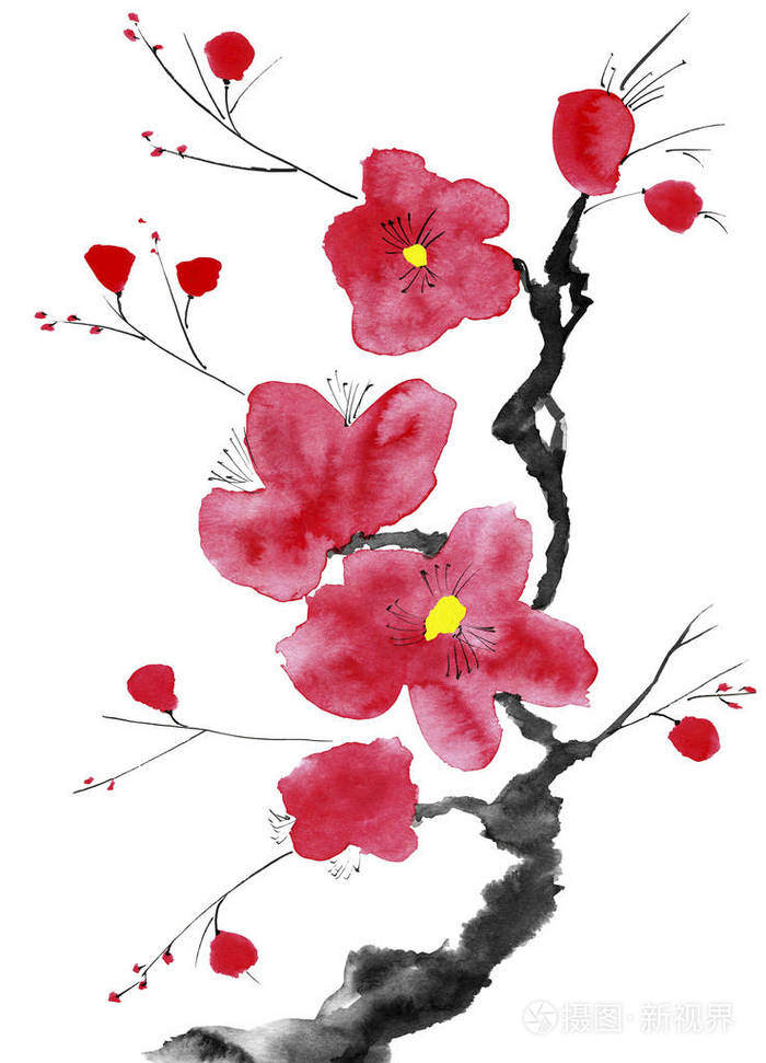一棵开花的树的树枝粉红色和红色的风格花梅野生杏和樱花水彩和水墨