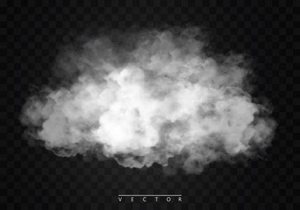 雾或烟雾隔离透明特效. 白色矢量云雾或烟雾背景. 矢量插图照片