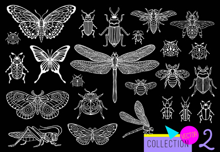 大手画线的昆虫虫, 甲虫, 蜜蜂, 蝴蝶蛾, 大黄蜂, 黄蜂, 蜻蜓, 蝗虫。剪影复古素描样式雕刻的例证