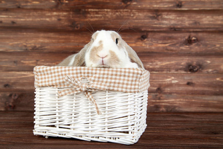 棕色木桌上篮子里漂亮的兔子