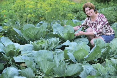 一个女人在花园里种卷心菜