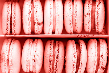 一套在一个盒子里的马卡龙, 用活珊瑚的颜色装饰着。2019年概念的颜色