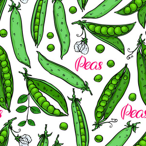 豌豆手绘图片-豌豆手绘素材-豌豆手绘插画-摄图新视界
