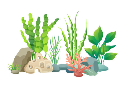 深海向量例证的绿色植被
