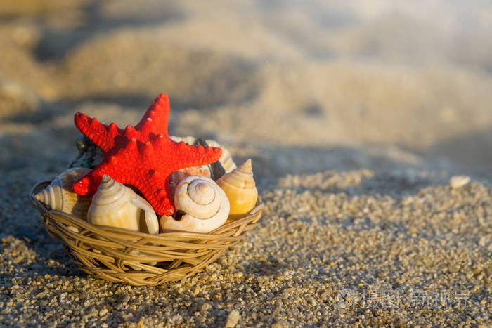 沙滩上沙滩上的篮子里有红色海星和贝壳