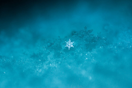 小雪花在雪地里闪闪发光