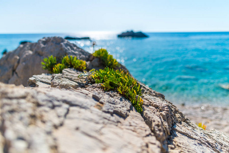 希腊美丽的夏季海景