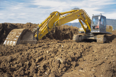 低角度拍摄图片