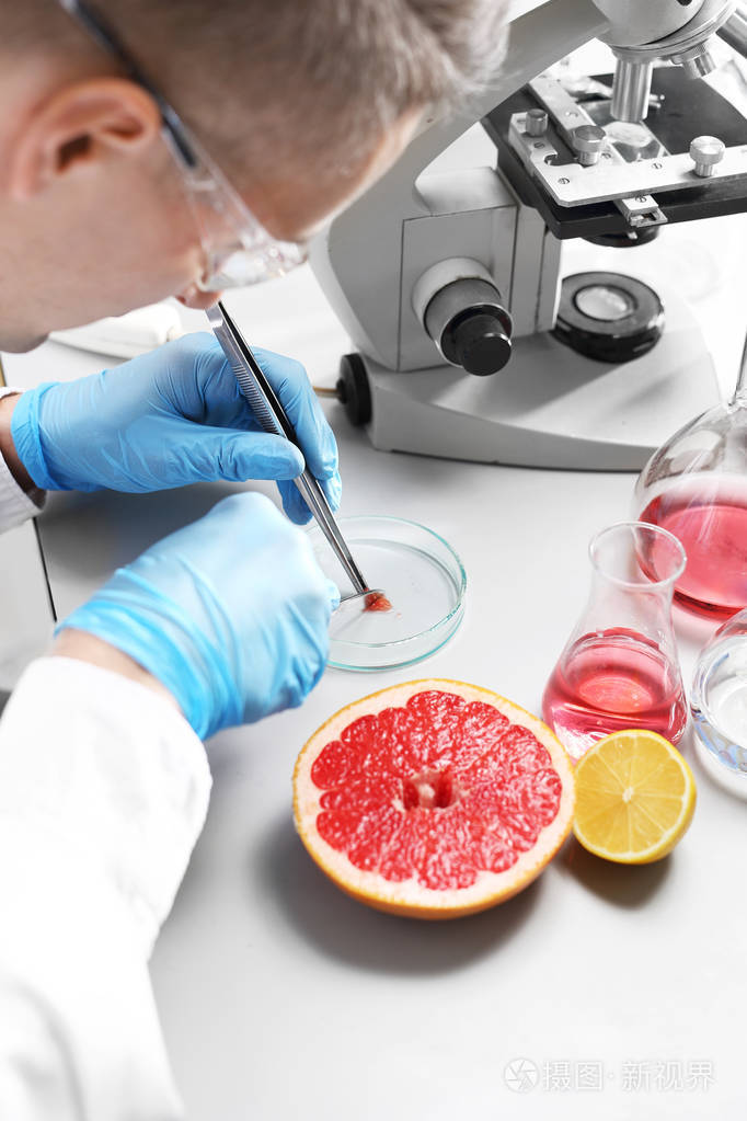 食品生物技术劳动者在显微镜下检查水果样品