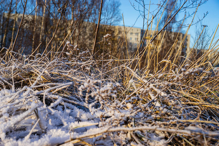 冬季冰雪覆盖草的背景
