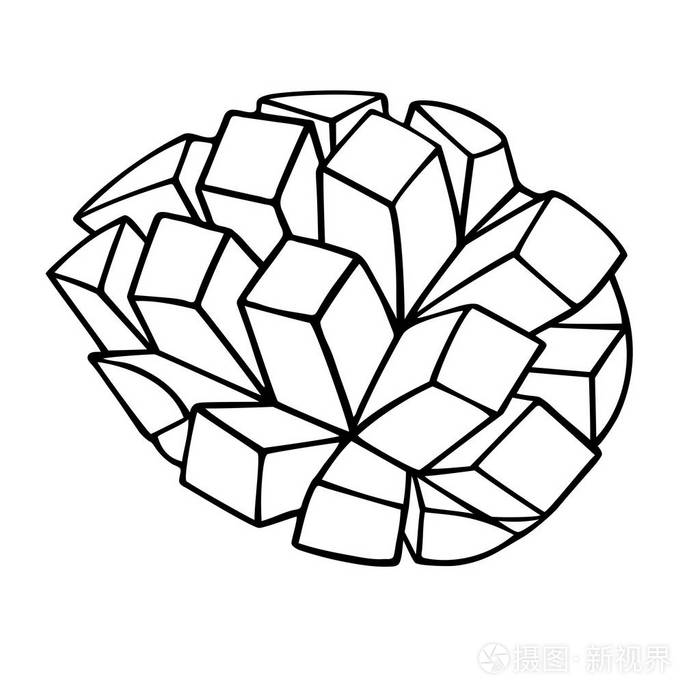 白色背景下切芒果的黑色轮廓用于绘图的芒果矢量插图