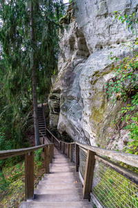 绿色夏日森林带岩石崖的旅游徒步小径