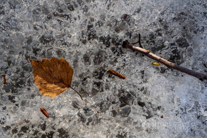 冰冻的自然细节。 冰雪中的树枝和草