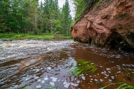 拉脱维亚平静的阿马塔河沿岸美丽的砂岩悬崖和树林