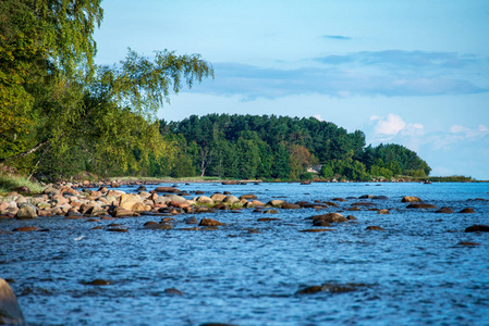 拉脱维亚乡村覆盖海滩的粗大岩石