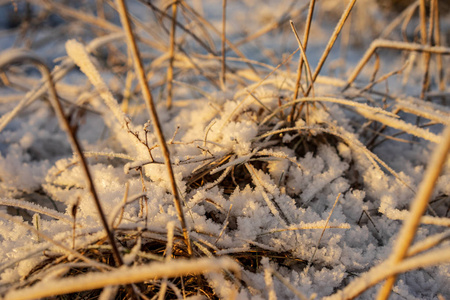 冬季冰雪覆盖草的背景