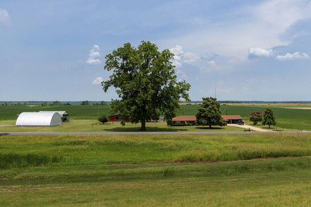 密西西比州一个农村地区的农场，靠近密西西比河美国。