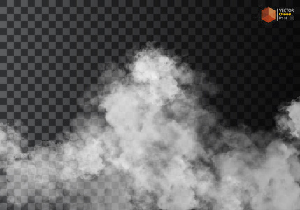 雾或烟雾隔离透明特效。 白色矢量云雾或烟雾背景。 矢量插图