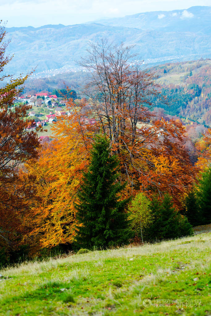秋天的风景和五颜六色的树木秋天的季节
