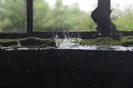 水的自然喷雾。 喷水和湿苔。 窗户边的水。