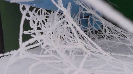 冰冻的蜘蛛网。冰天雪地的特写镜头在蜘蛛网, 一个寒冷的雾蒙蒙的冬日早晨