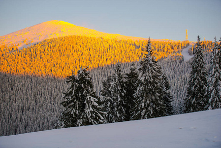 雪覆盖的树木，冬季的季节，山和日落的天空