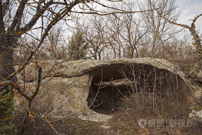 秋天森林中的秘密洞穴