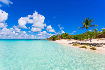 热带天堂萨纳加勒比岛在蓬塔卡纳, 多米尼加共和国